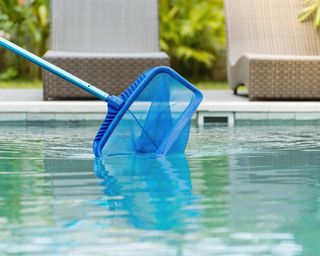 Swimming Pool Vacuum+Skimmer Net Cleaner Inground/Above Ground