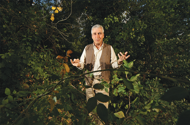 Fran&amp;ccedil;ois-Mitjavile-of-Tertre-Roteboeuf