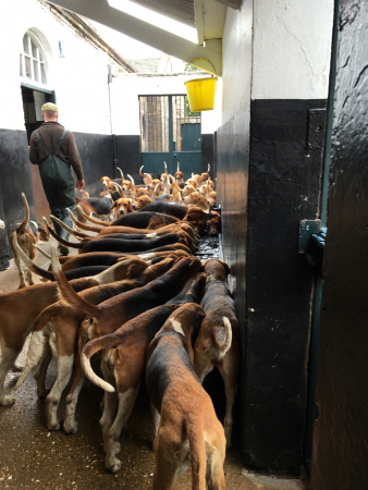 Girls-having-a-drink-back-in-kennels--e1544015374354.png