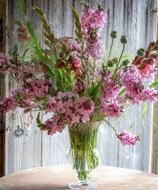 Snapdragon Potomac Lavender in a vase