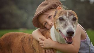 greyhound with child