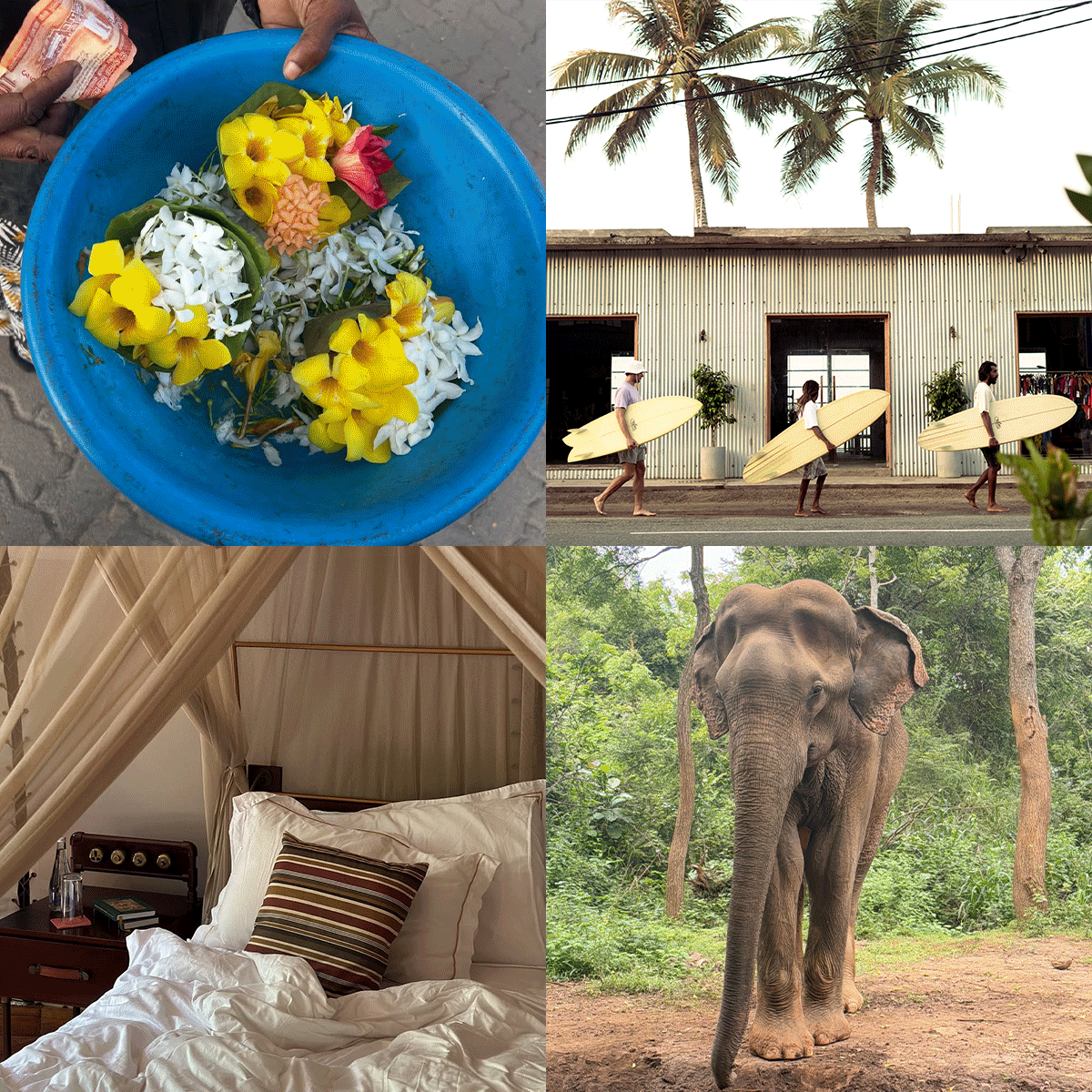 travel guide to Sri Lanka's south coast