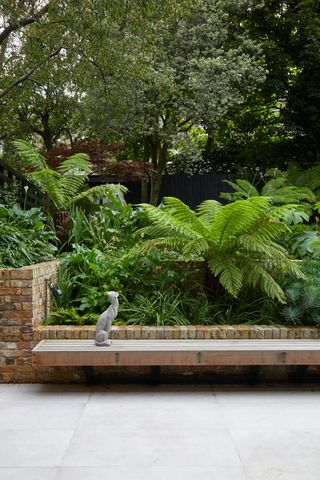 Small garden with large ferns and built in bench
