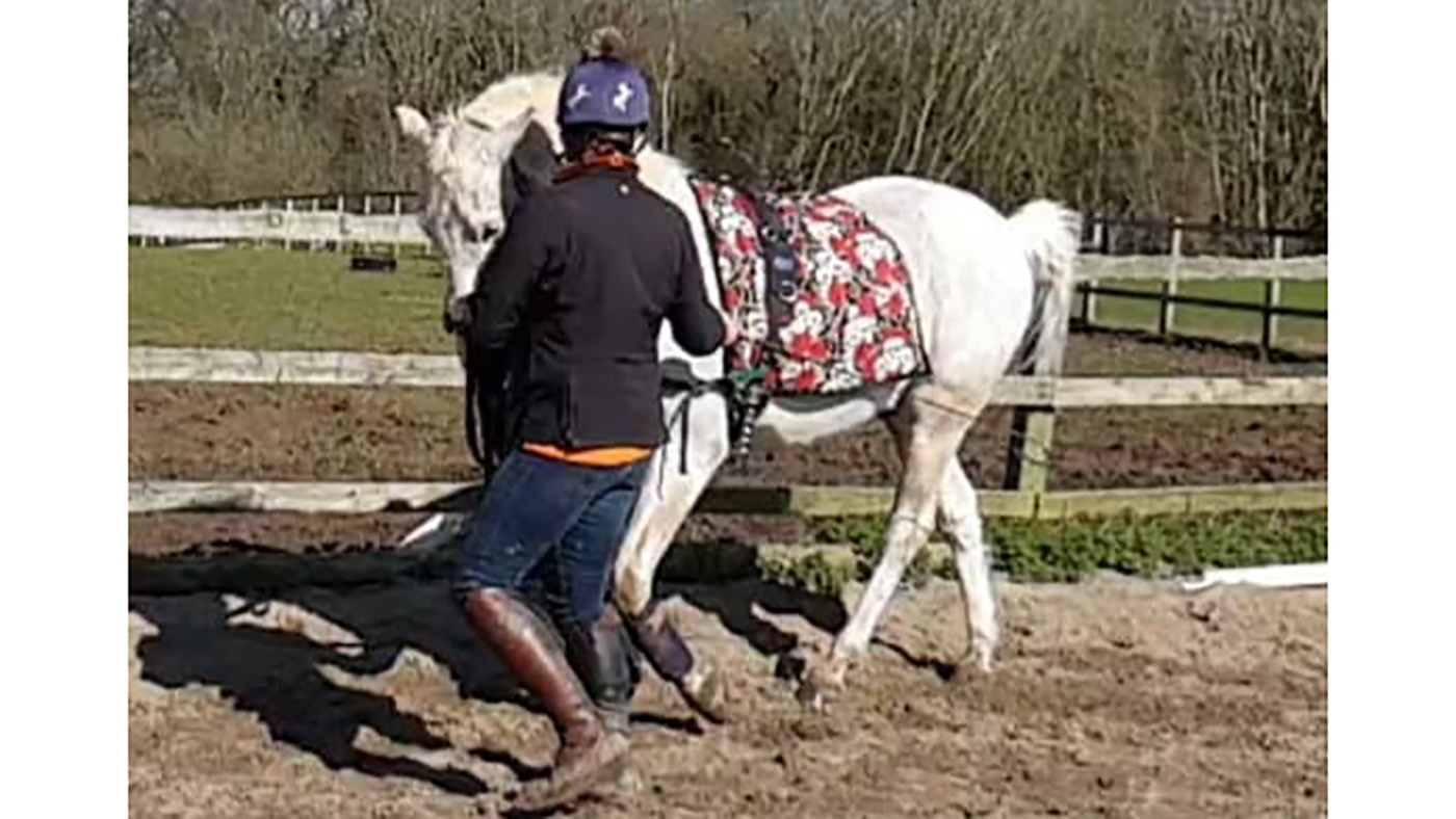 charlotte bailey with grey horse (2)