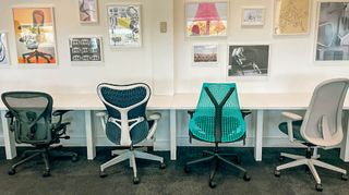 Some of the best Herman Miller chairs in a row at the comany's office
