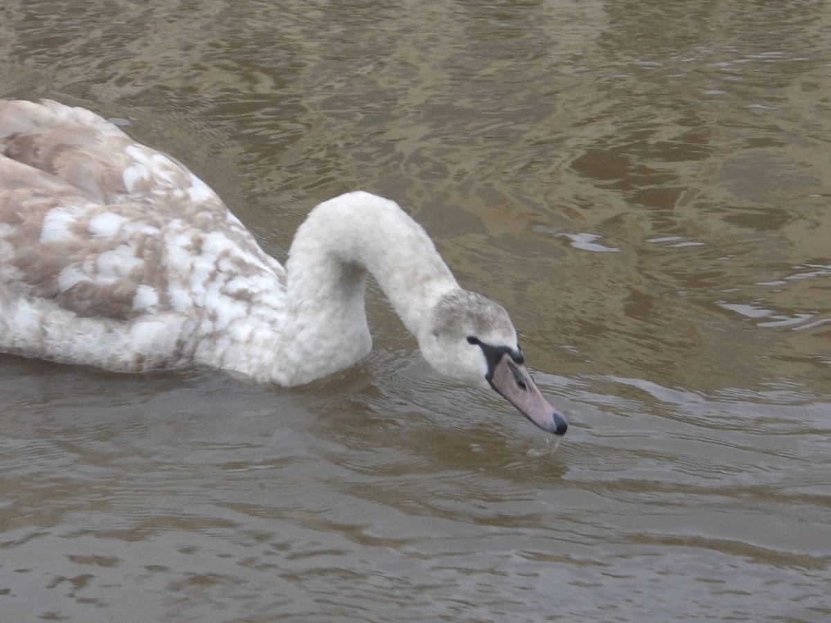 A photo taken on a Kodak PIXPRO WPZ2 compact camera