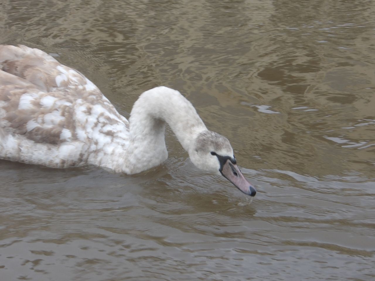 A photo taken on a Kodak PIXPRO WPZ2 compact camera