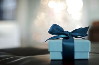 Blue gift box with blue holiday bow