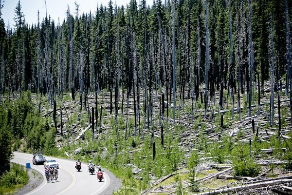 Riders pass by a fire damaged area along the route.