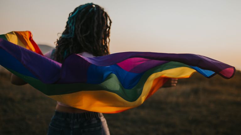 Pride, Pride Flag, Pride Month, Facts about Pride Month