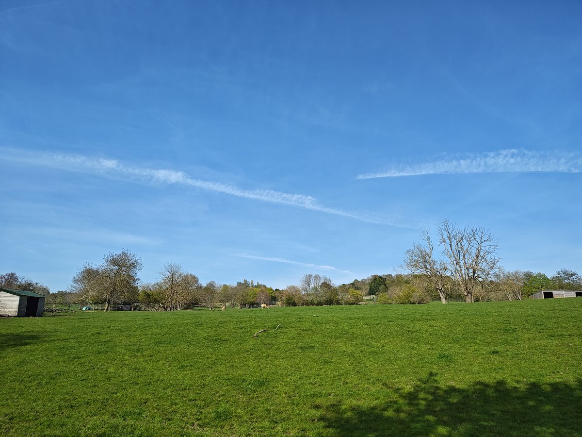 A photo taken on the Motorola Edge 40 Pro