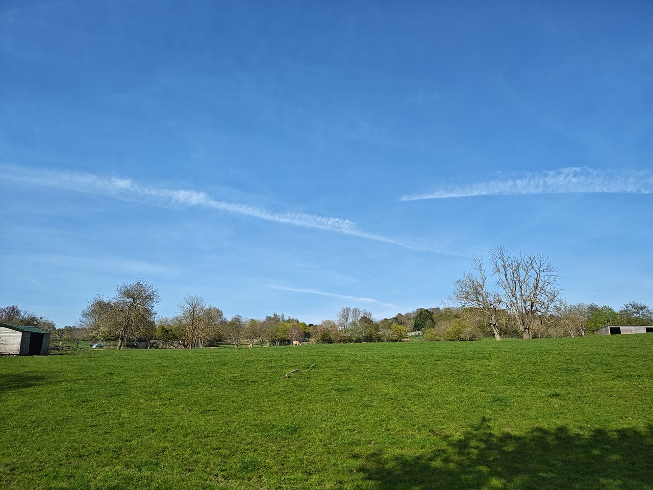 A photo taken on the Motorola Edge 40 Pro
