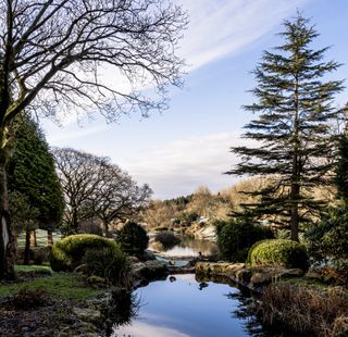 Landscape at The Tawny Hotel with lake and lots of trees and shrubs