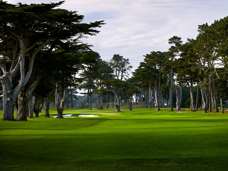 TPC Harding Park: PGA Championship Course Guide