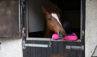 A horse hugging a sad rider