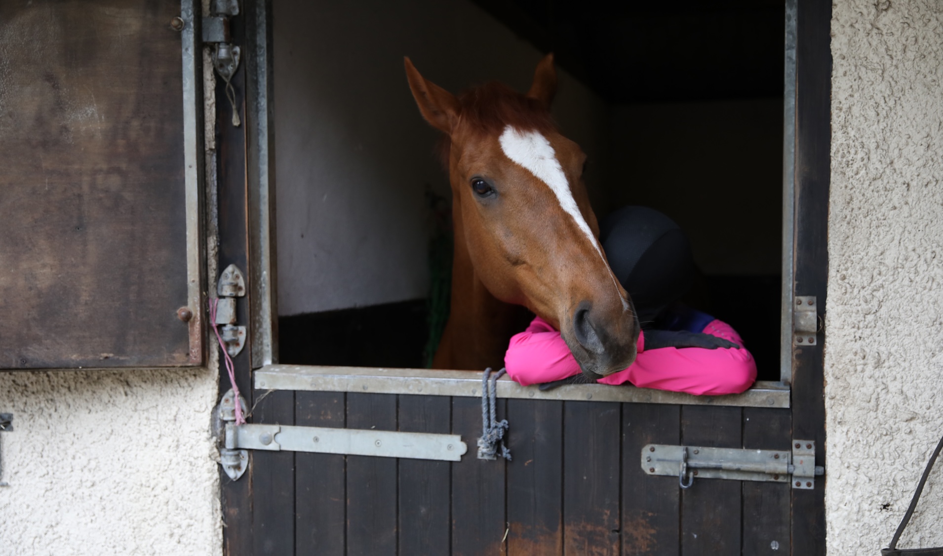 A horse hugging a sad rider