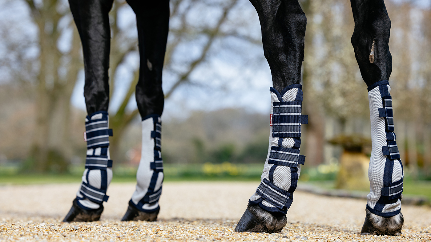 LeMieux fly boots on horse