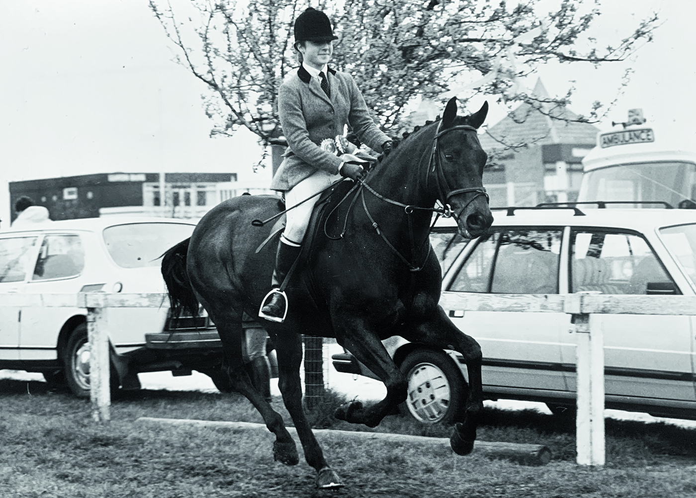 The Ryder-Phillips&amp;rsquo; Young Dragonara was a phenomonially successful 15hh working hunter pony of his era.