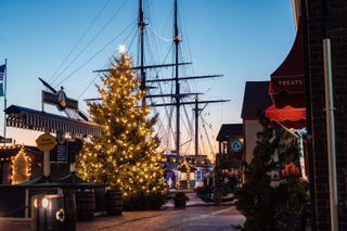 A Christmas tree illuminated in white lights in Bowen's Wharf in Newport, Rhode Island