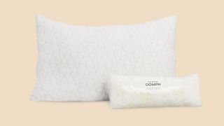 Coop Home Goods Original Pillow review: The pillow and 1/2lb bag of fill photographed on a light pink background