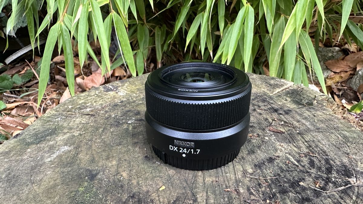 The nikkor DZ DX 24mm f/1.7 lens sits on a log