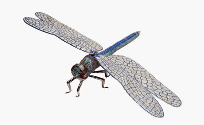 Dragonfly in precious jewels by Matthew Campbell Laurenza