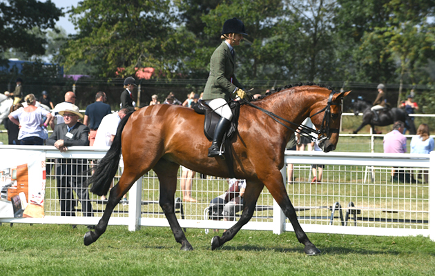 Royal Norfolk show 2018