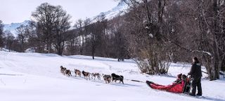 Chalet Coco - White Mountain Chalets, St Martin de Belleville