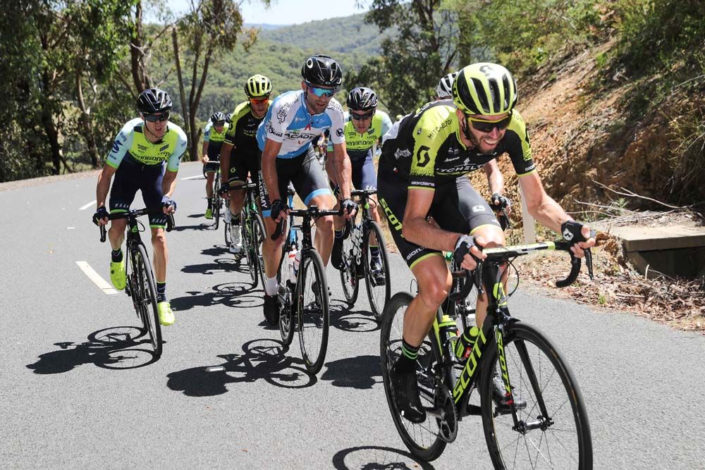Damien Howson (Mitchelton-Scott) drives on the bunch on stage 4 of the Herald Sun Tour