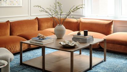 A earthy terracotta sofa and light blue rug