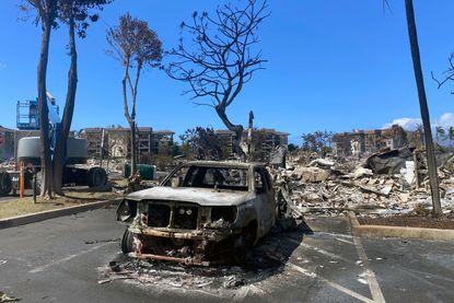 The charred remains of a car in Lahaina, Hawaii, after a wildfire. 