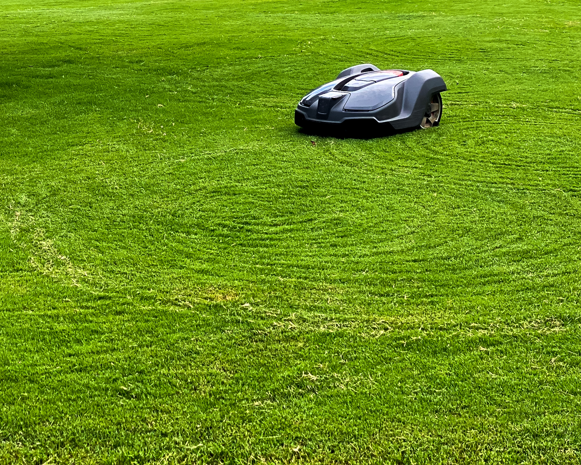 Robot lawn mower and stripes in grass