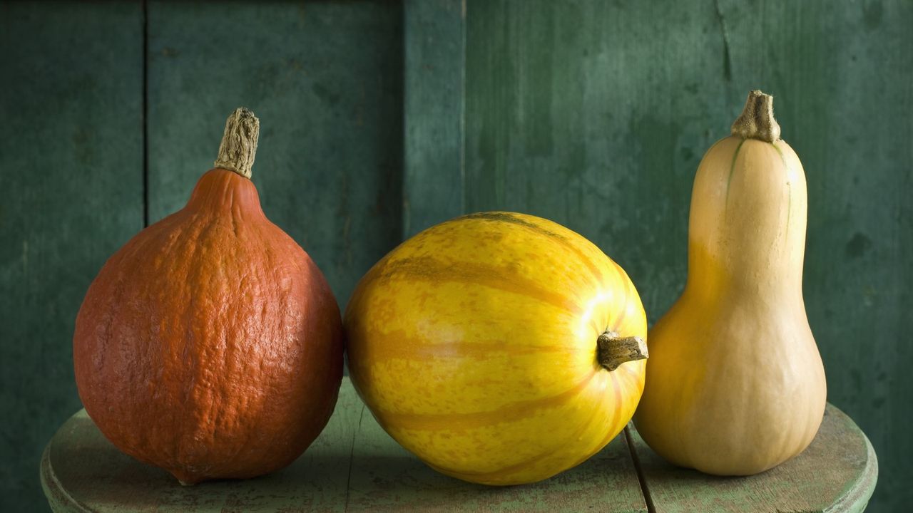 Pumpkin, spaghetti squash and butternut squash