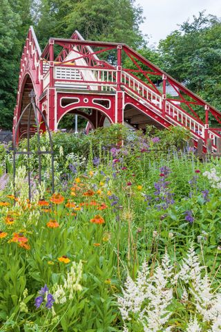 Flowers with the railway bridge in background