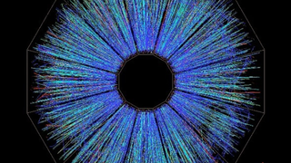 The debris or "ash" of quark gluon plasma created at the Brookhaven National Laboratory