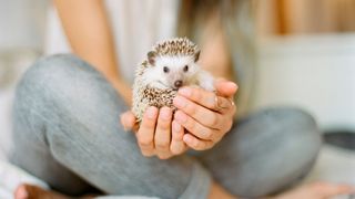 best first pets for children
