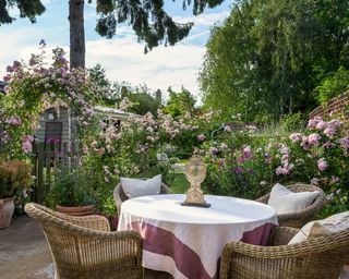 roses around patio seating