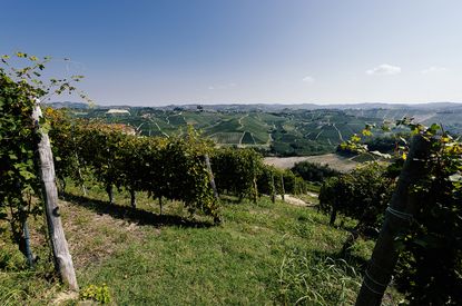 View from the hilltop at Fortemasso in Castelletto MGA