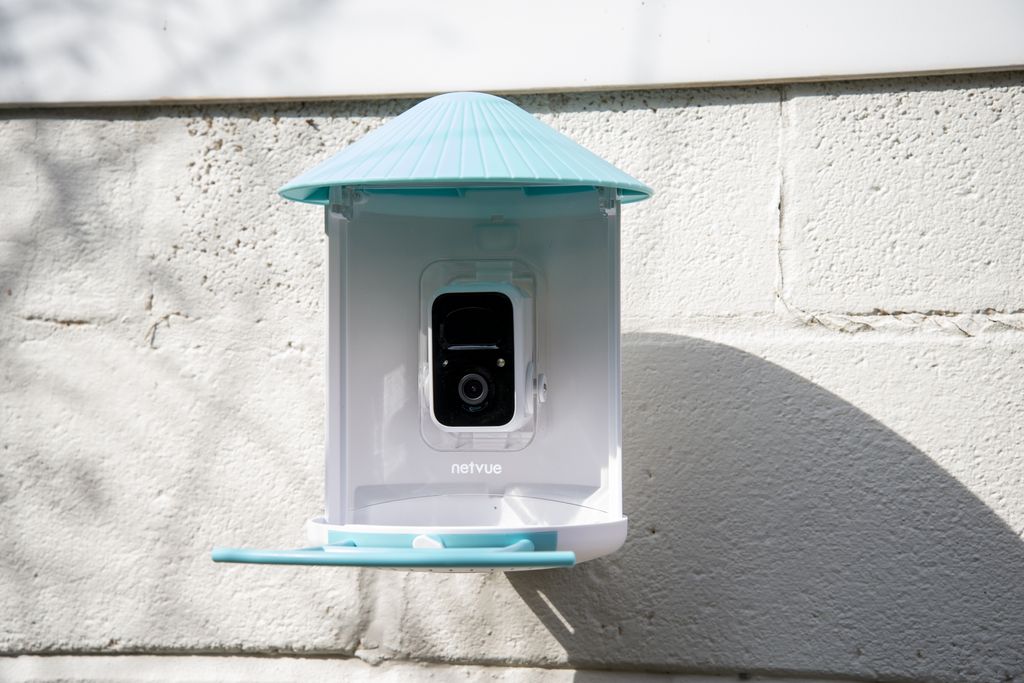 The best bird box camera in 2024 Digital Camera World