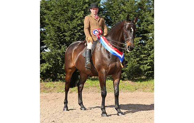 RIHS RIDDEN HUNTER CHAMPIONSHIP CHAMPION.&amp;#8232;3 PRIDE OF PLACE&amp;#8232;R: ROBERT WALKER