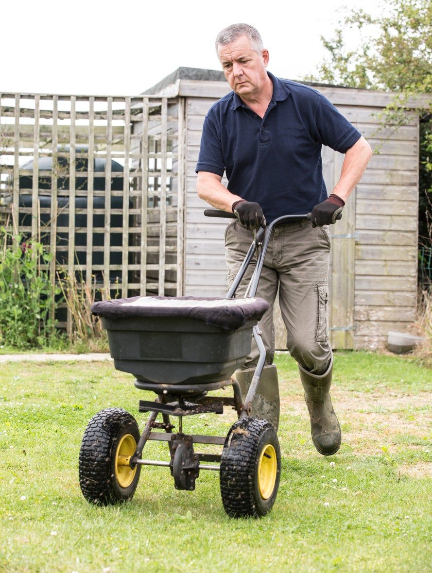 Man Fertilizing Lawn