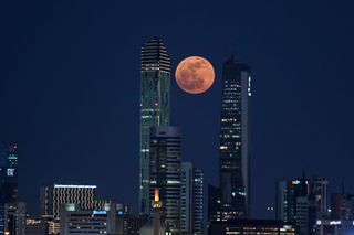 a city skyline at night with a orange pink full moon shining between two large skyscrapers.