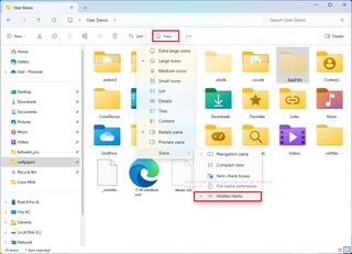 Enable hidden files and folders