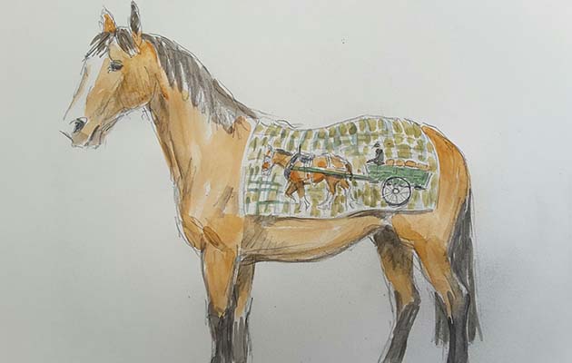Judith-Stowells-sketch-of-Digger1.jpg