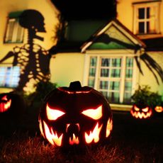 halloween design with pumpkins and skeleton projector