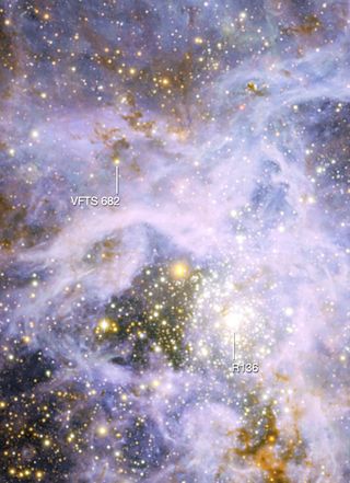 This view shows part of the very active star-forming region around the Tarantula Nebula in the Large Magellanic Cloud, a small neighbour of the Milky Way. At the upper left is the brilliant but isolated star VFTS 682 and at the lower right is the very ric
