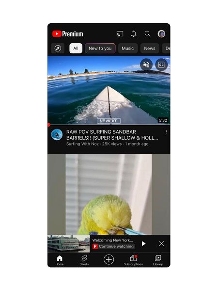 YouTube's continue watching feature for Premium users.