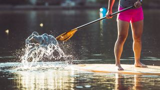 person stand-up paddle boarding
