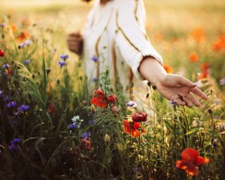 Foraging flowers