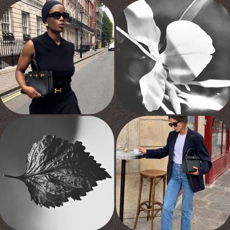 Collage of French women wearing Hermes in Paris and perfume ingredients 